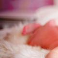 Как правильно укладывать спать новорожденного: все секреты Какое время ребенок должен ложиться спать